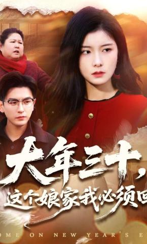 短剧《大年三十，这个娘家我必须回》海报