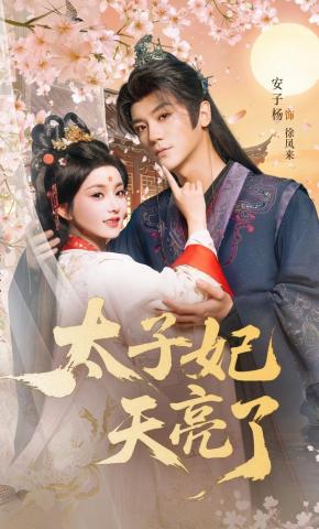 短剧《太子妃天亮了》海报