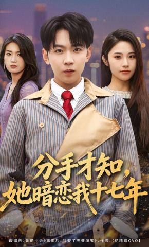短剧《分手才知，她暗恋我十七年》海报