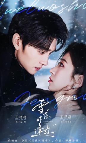 短剧《雪落时逢你》海报