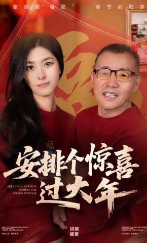 短剧《安排个惊喜过大年》海报