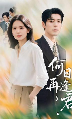 短剧何日再逢君海报