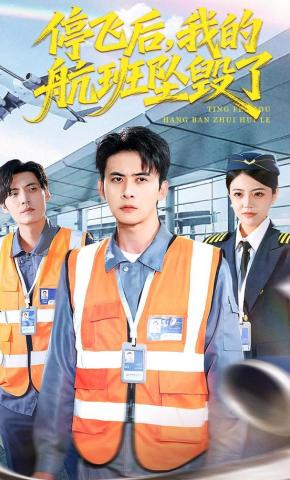 短剧《停飞后，我的航班坠毁了》海报