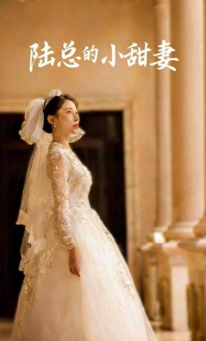 短剧《陆总的小甜妻》海报