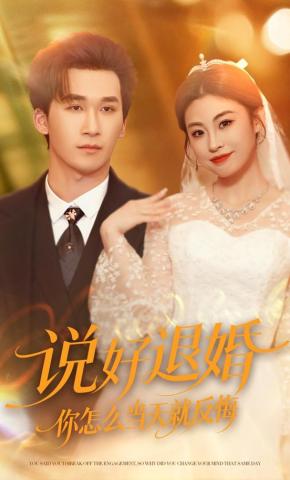 短剧《说好退婚你怎么当天就反悔》海报