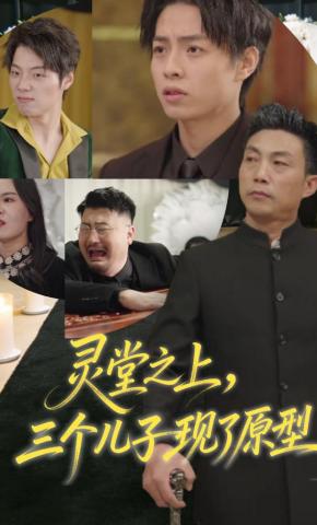 短剧《灵堂之上，三个儿子现了原型》海报
