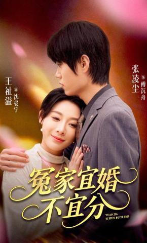 短剧《冤家宜婚不宜分》海报