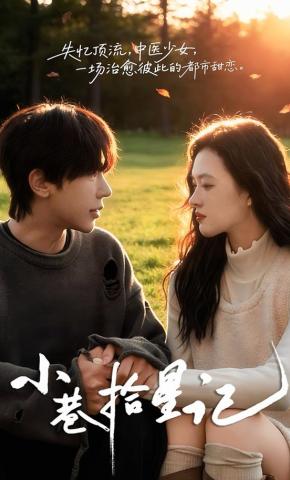 短剧小巷拾星记海报