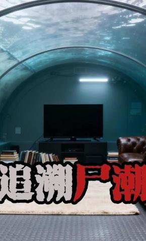 短剧《追溯尸潮》海报