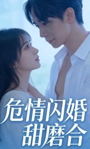 短剧危情闪婚甜磨合海报