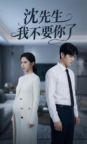 短剧《沈先生我不要你了》海报