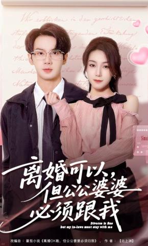 短剧《离婚可以，但公公婆婆必须跟我》海报