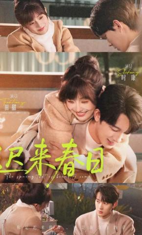 短剧《迟来春日》海报