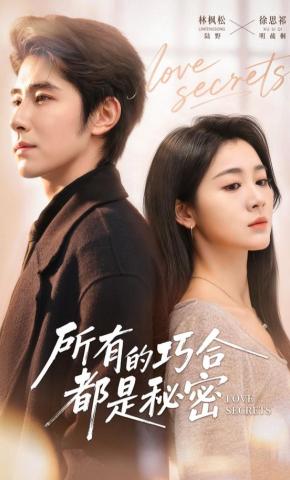 短剧《所有的巧合都是秘密》海报