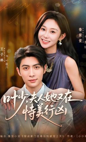 短剧《叶少，夫人她又在恃美行凶》海报