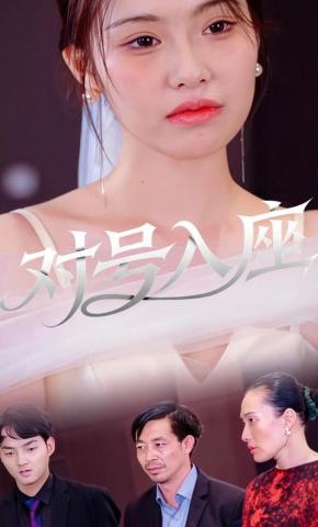 短剧《对号入座》海报