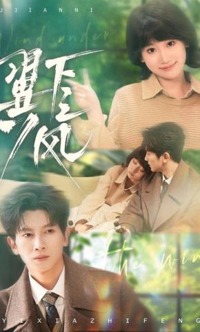 短剧《翼下之风》海报