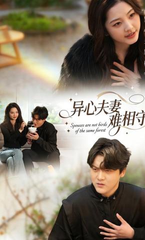 短剧《异心夫妻难相守》海报