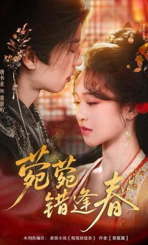 短剧《菀菀错逢春》海报