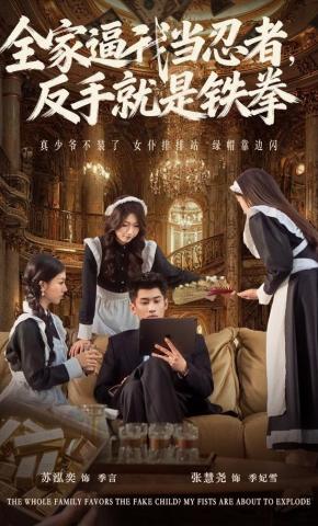 短剧《全家逼我当忍者，反手就是铁拳》海报