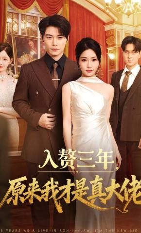 短剧《入赘三年，原来我才是真大佬》海报