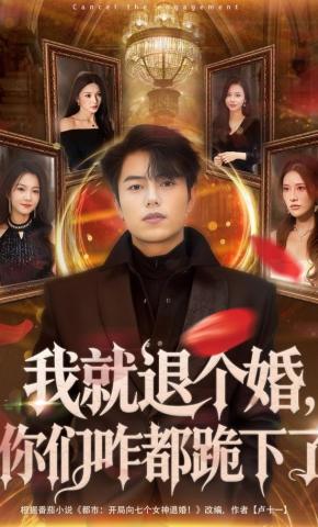 短剧《我就退个婚，你们咋都跪下了》海报