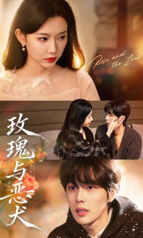 短剧《玫瑰与恶犬》海报