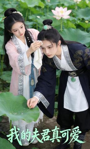 短剧《我的夫君真可爱》海报