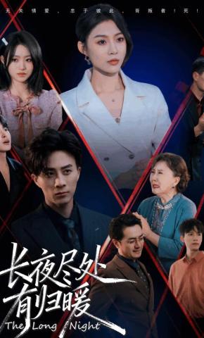 短剧《长夜尽处有归暖》海报