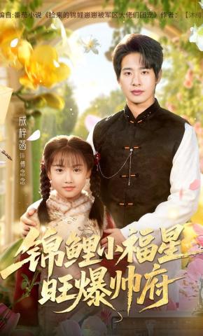 短剧《锦鲤小福星旺爆帅府》海报