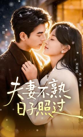 短剧《夫妻不熟，日子照过》海报