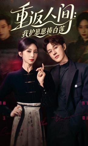 短剧《重返人间：我护崽崽揍白莲》海报