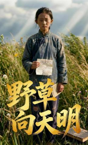 短剧《野草向天明》海报