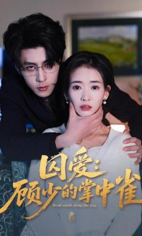 短剧《囚爱：顾少的掌中雀》海报