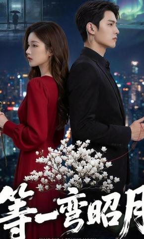 短剧《等一弯昭月》海报