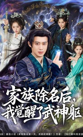 短剧《家族除名后，我觉醒了武神躯》海报
