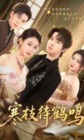 短剧《寒枝待鹤鸣》海报