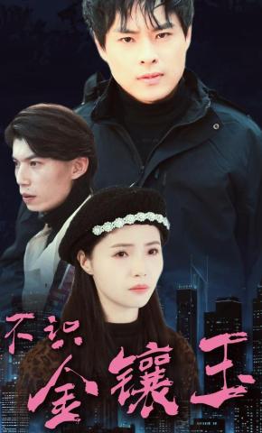 短剧不识金镶玉海报