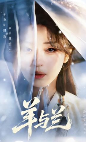 短剧羊与兰海报