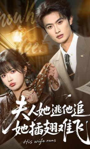 短剧《夫人她逃他追，她插翅难飞》海报