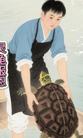 短剧《灵龟报恩.》海报