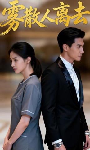 短剧《雾散人离去》海报