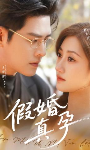 短剧《假婚真孕》海报