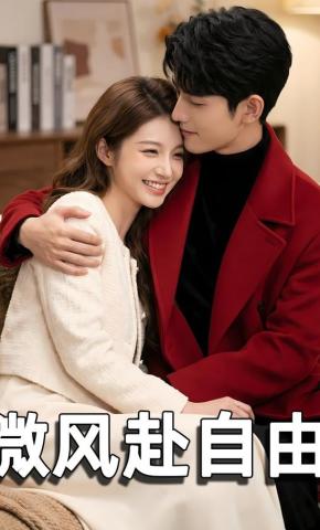 短剧《微风赴自由》海报
