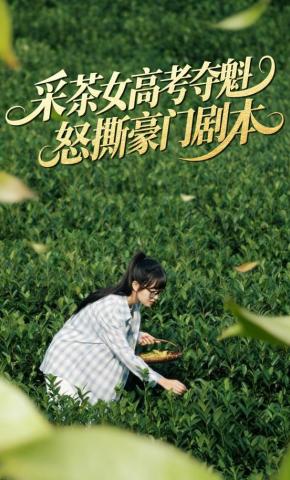 短剧《采茶女高考夺魁，怒撕豪门剧本》海报