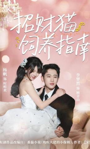 短剧《招财猫饲养指南》海报