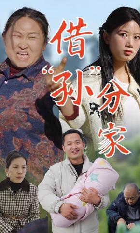 短剧《借孙分家》海报