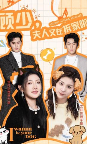 短剧《顾少，夫人又在拆家啦》海报