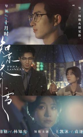 短剧《知京冬风雪》海报