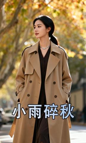 短剧《小雨碎秋》海报